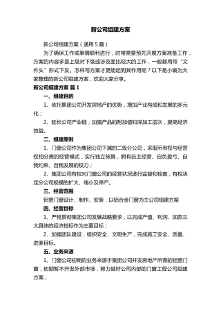 新公司组建方案(通用5篇)