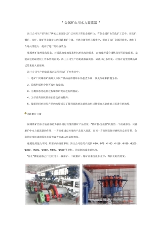 海王水力旋流器