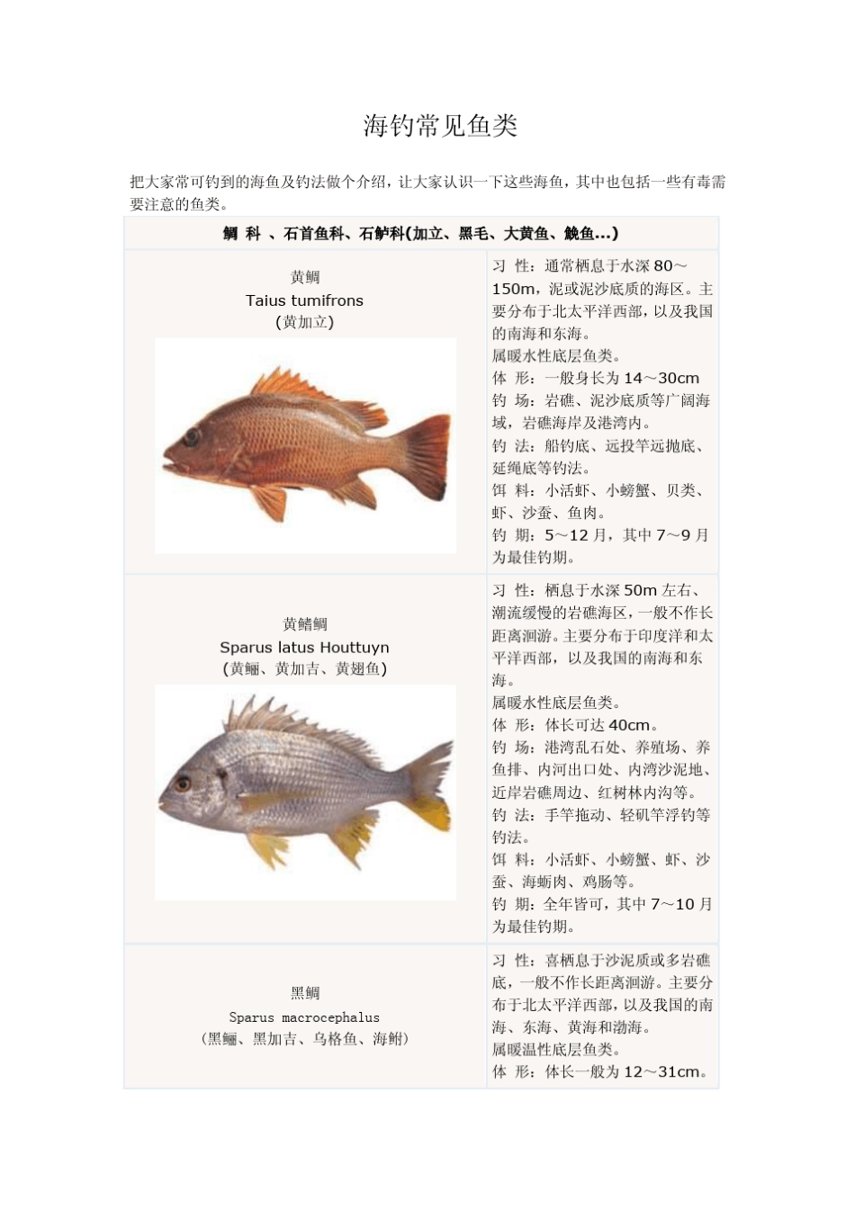 海钓常见鱼类_第1页
