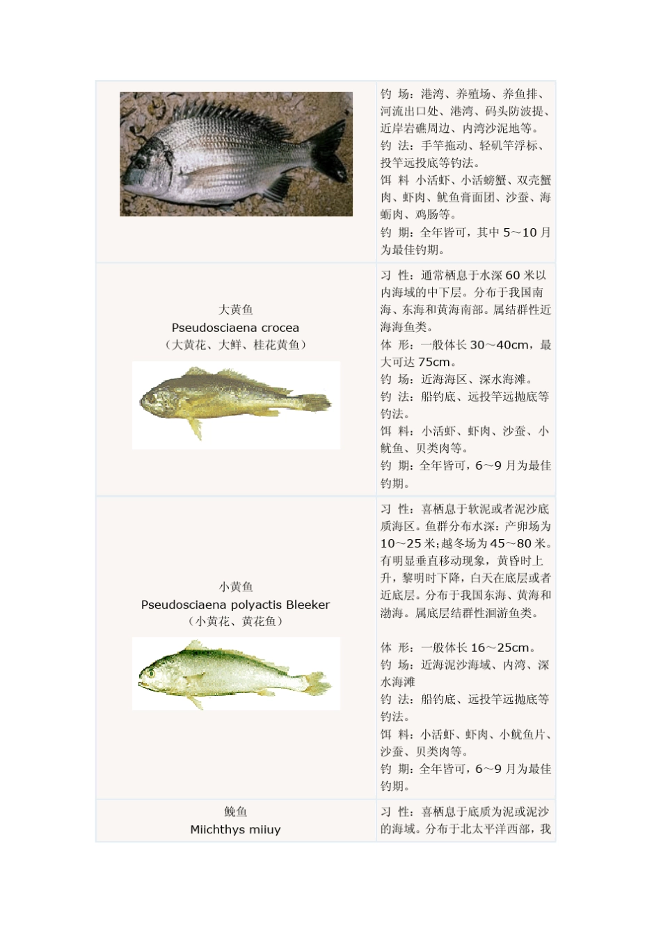 海钓常见鱼类_第2页