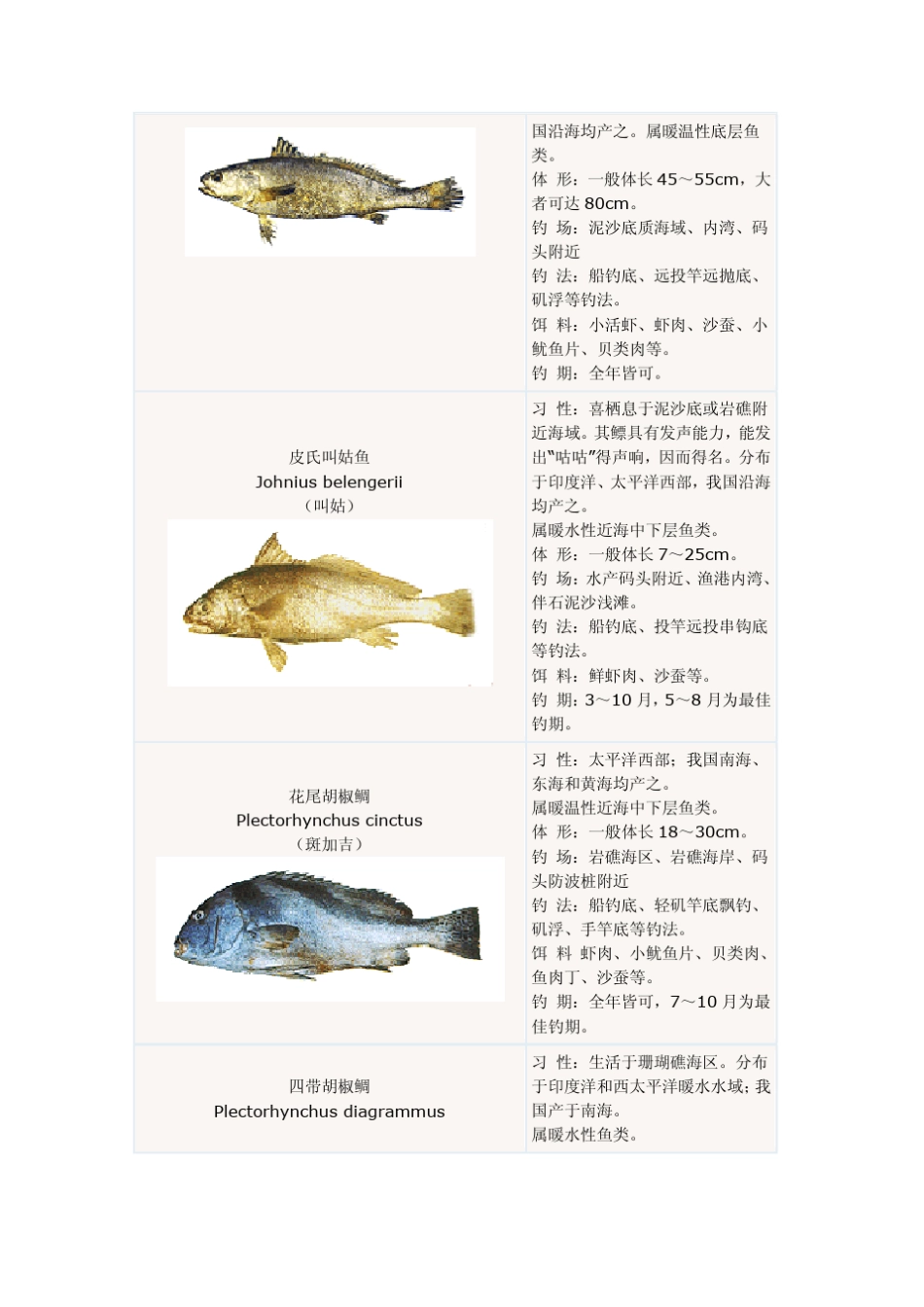 海钓常见鱼类_第3页