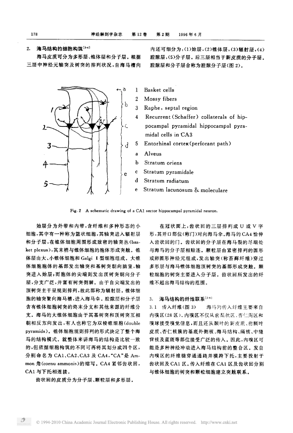 海马结构_从形态_功能到可塑性_衰老性变化_第2页