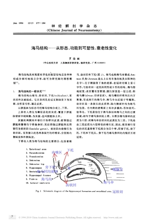 海马结构_从形态_功能到可塑性_衰老性变化
