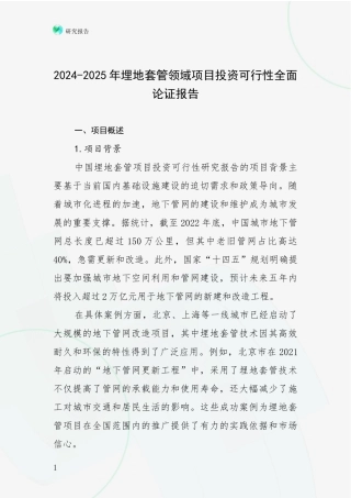 2024-2025年埋地套管领域项目投资可行性全面论证报告
