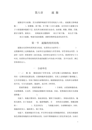 涎腺是外分泌腺