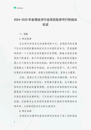 2024-2025年宏观经济行业项目投资可行性综合论证