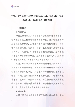2024-2025年工程塑材料项目项目投资可行性全面调研：商业投资价值分析