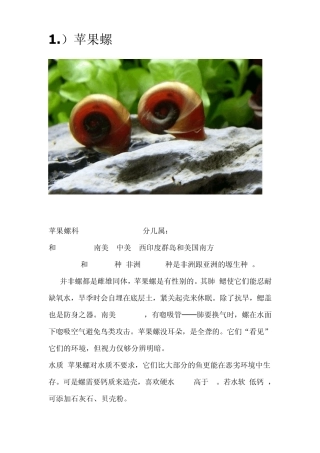 淡水螺海水螺汽水域螺观赏螺养螺条件