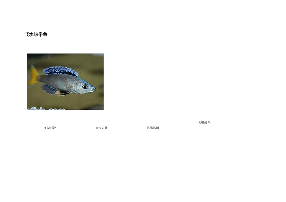 淡水鱼图片大全_第1页