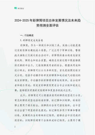 2024-2025年彩弹筒项目总体发展情况及未来趋势预测全面评估
