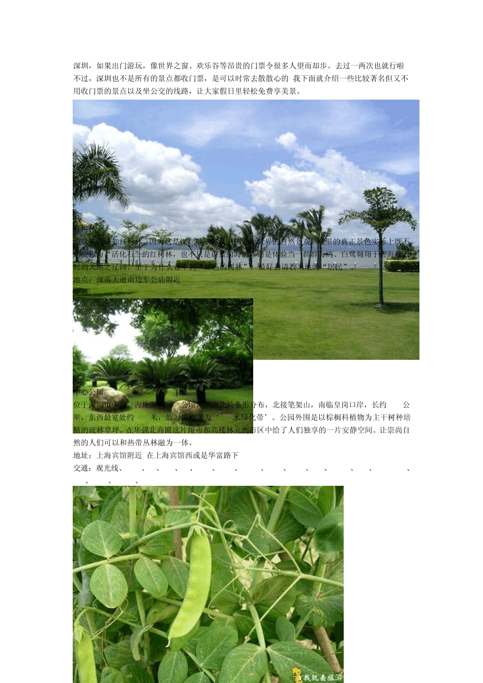 深圳好玩又免费的地方_第1页