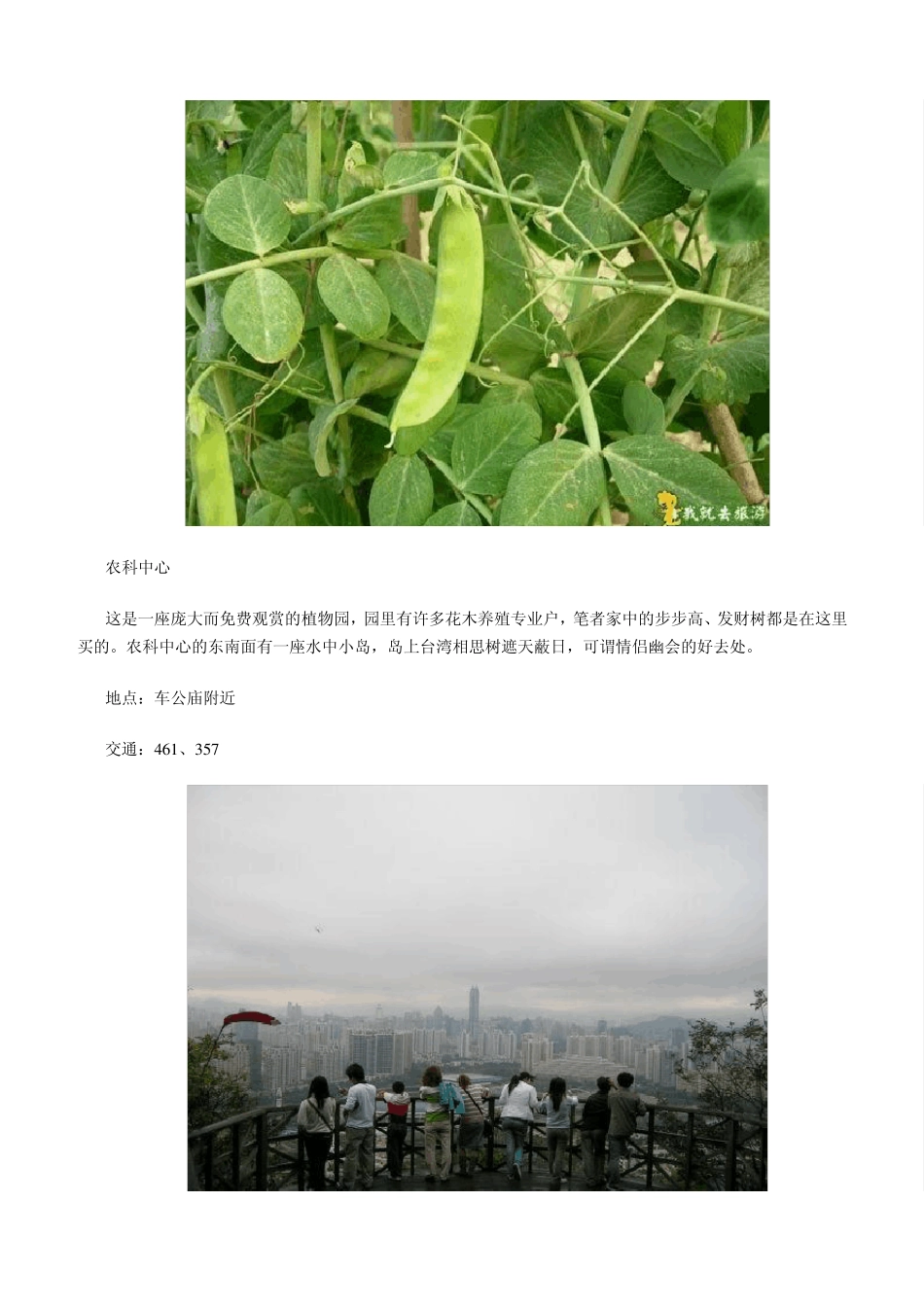 深圳好玩的免费景点_第3页