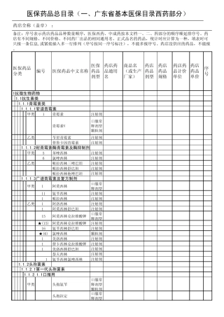 深圳市社会医疗保险定点零售药店申请医保药品总目录