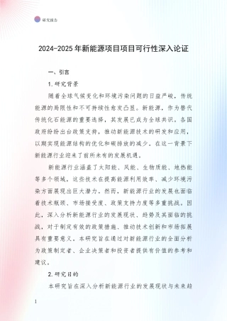 2024-2025年新能源项目项目可行性深入论证