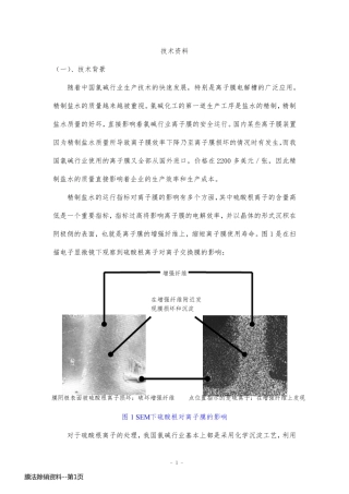 膜法除硝资料