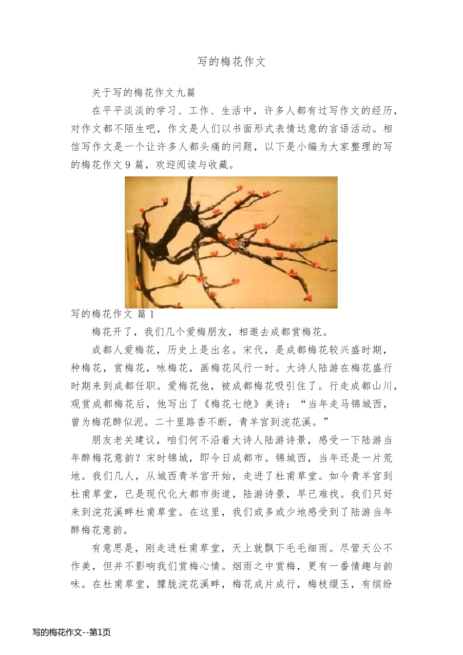 写的梅花作文_第1页