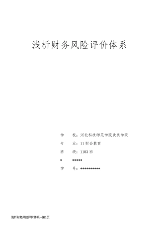 浅析财务风险评价体系