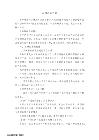 品牌战略方案