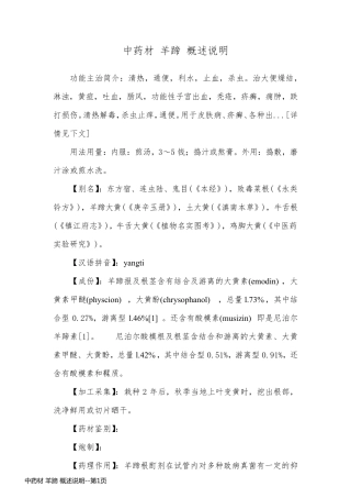 中药材 羊蹄 概述说明