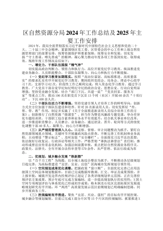 区自然资源分局2024年工作总结及2025年主要工作安排