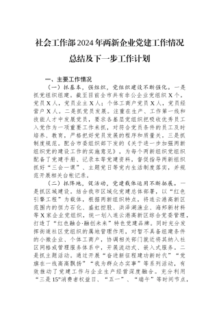 社会工作部2024年两新企业党建工作情况总结及下一步工作计划