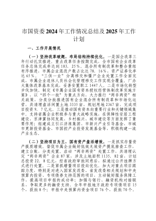 市国资委2024年工作情况总结及2025年工作计划