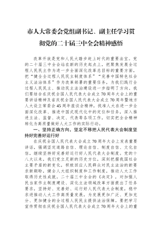 市人大常委会党组副书记、副主任学习贯彻党的二十届三中全会精神感悟