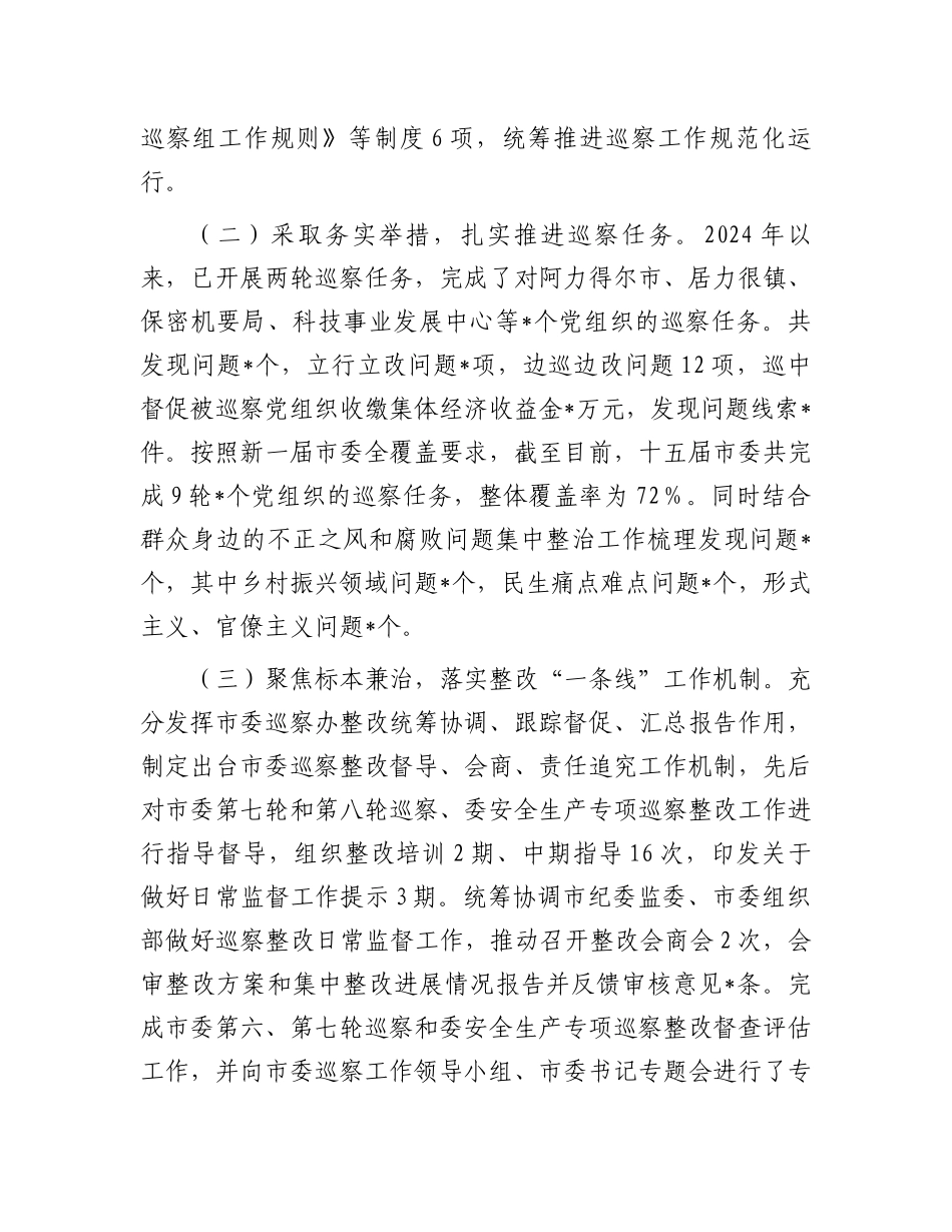 市委巡察办2024年工作总结及2025年工作计划_第2页