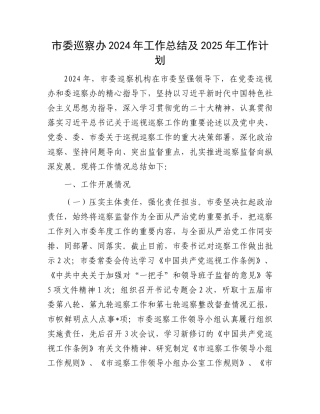 市委巡察办2024年工作总结及2025年工作计划