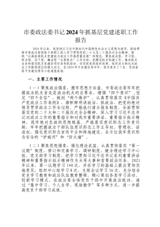市委政法委书记2024年抓基层党建述职工作报告