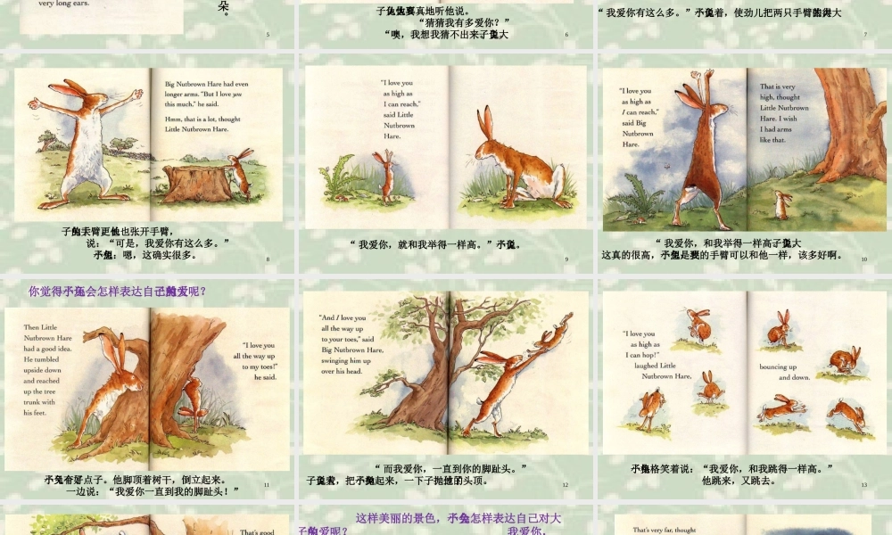 猜猜我有多爱你绘本课件