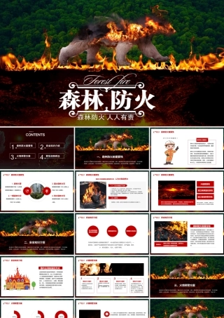 森林防火，人人有责