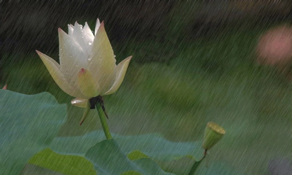 雨天的声音完整