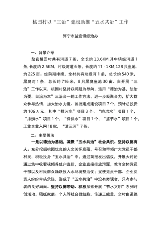 桃园村三治案例
