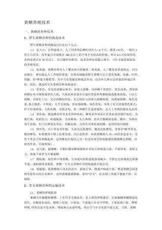 黄鳝养殖技术资料