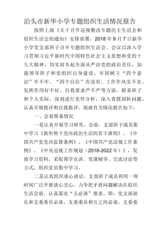 泊头市新华小学专题组织生活情况报告