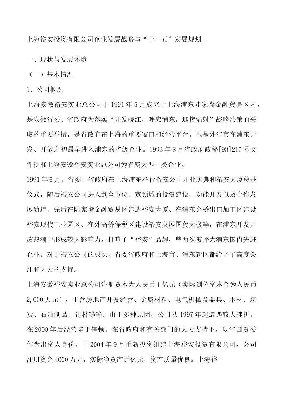 投资公司企业发展战略与发展规划_第1页
