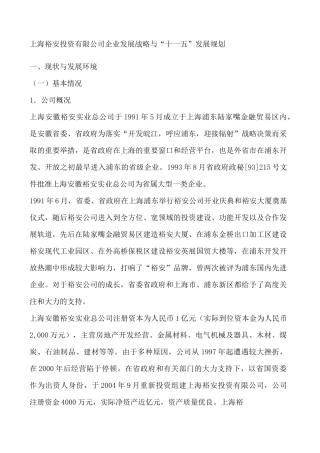 投资公司企业发展战略与发展规划