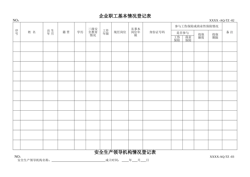 安全生产标准化所有记录表格格式_第2页