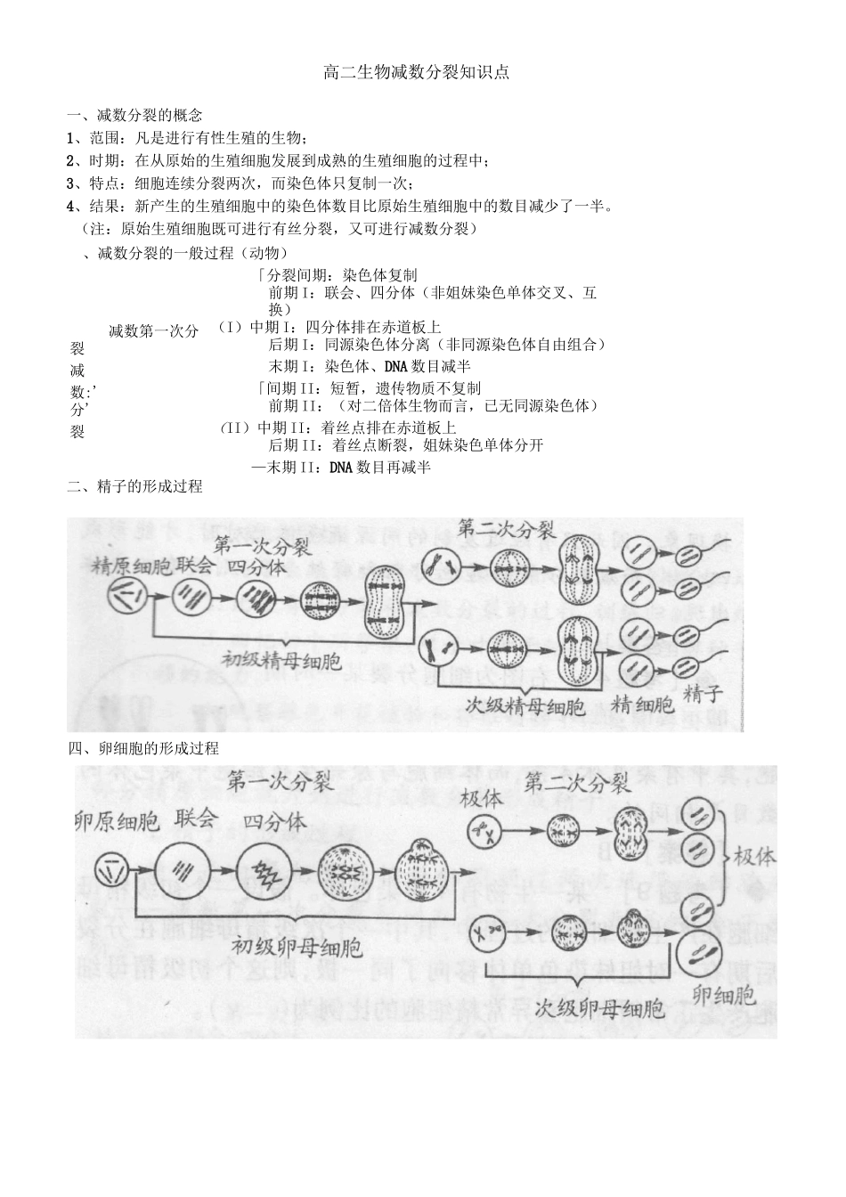 (完整版)减数分裂知识点总结_第1页