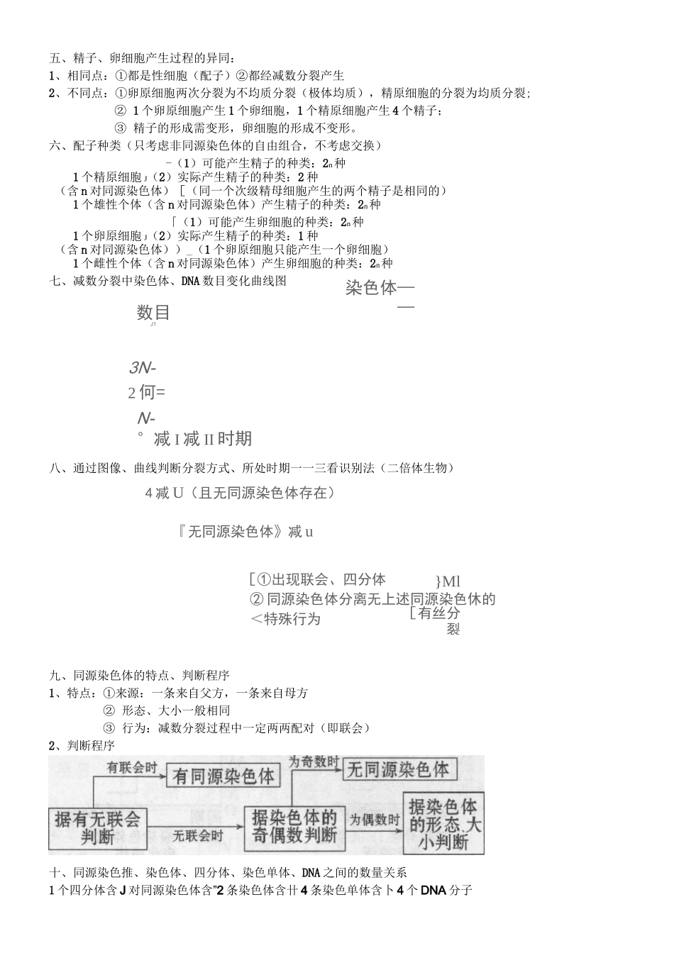 (完整版)减数分裂知识点总结_第2页