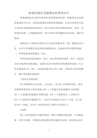 病毒性脑炎及脑膜炎机理和治疗
