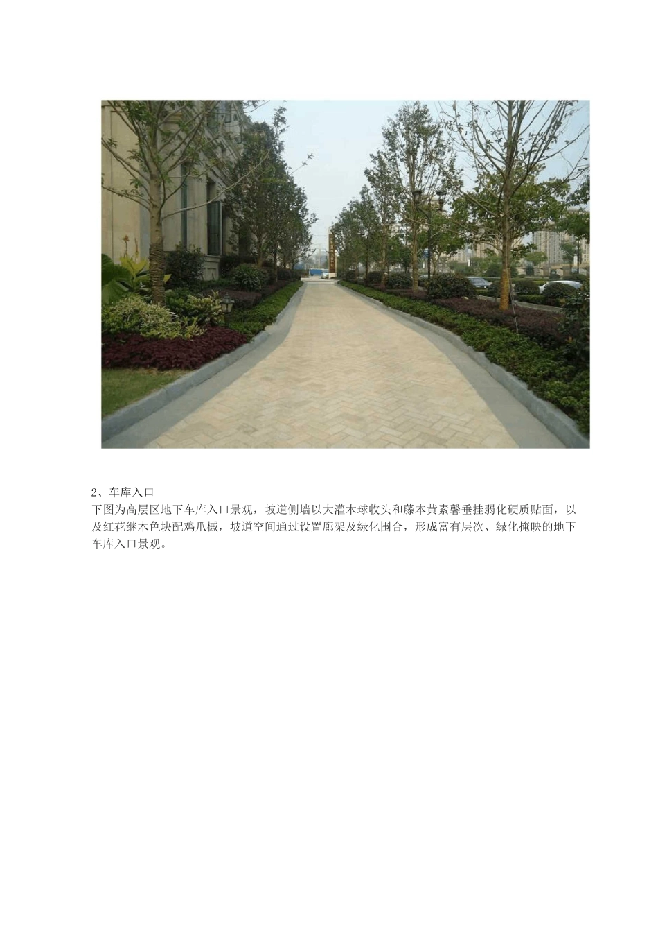 小区植物配置_第2页