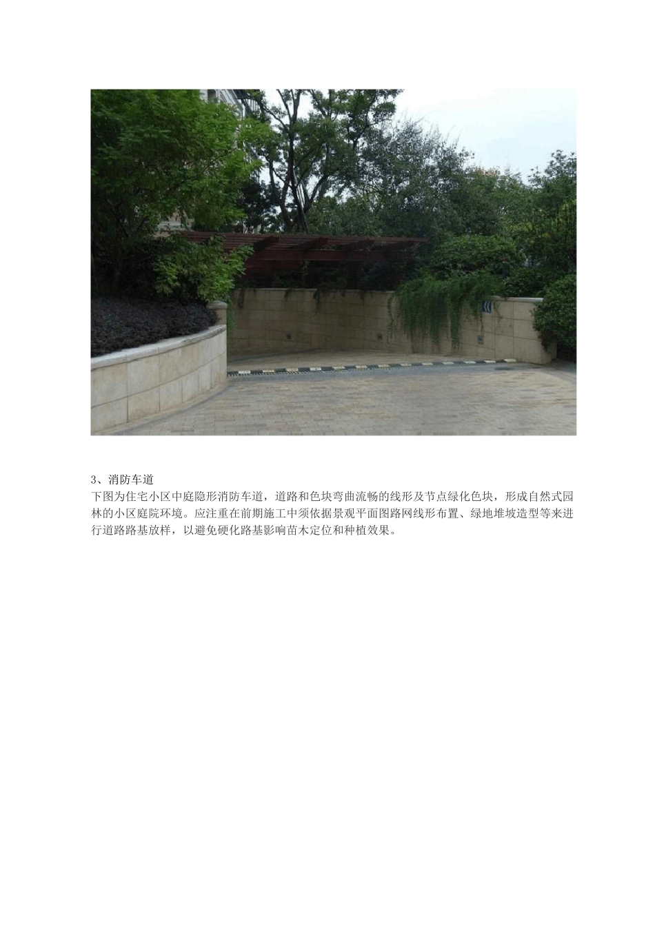 小区植物配置_第3页