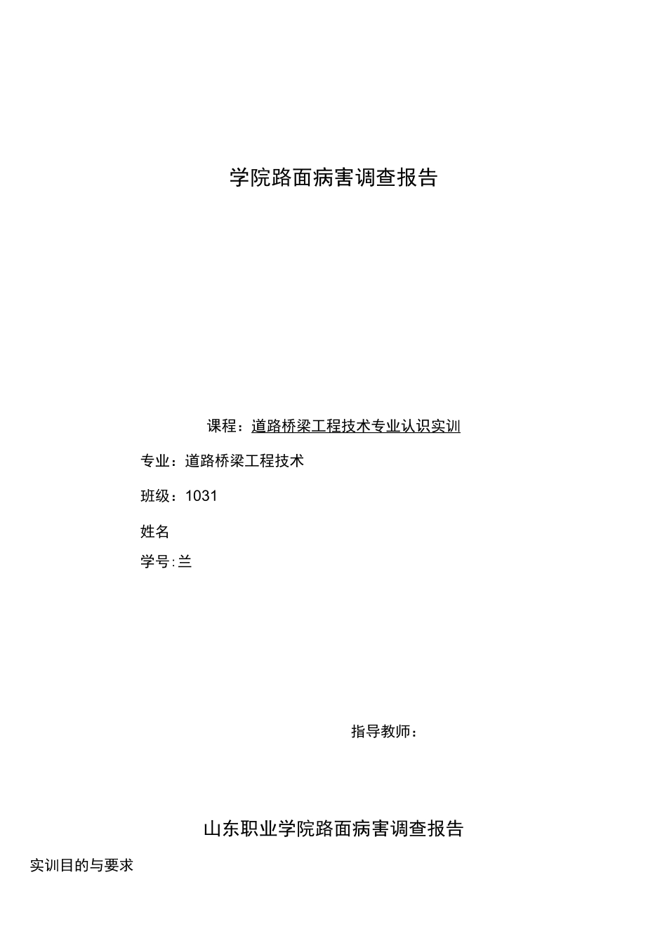 (完整)路面病害报告_第1页