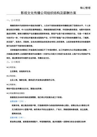 影视文化传播公司组织构架及薪酬方案