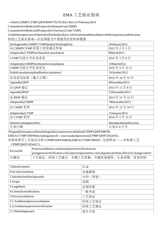 EMA工艺验证指南