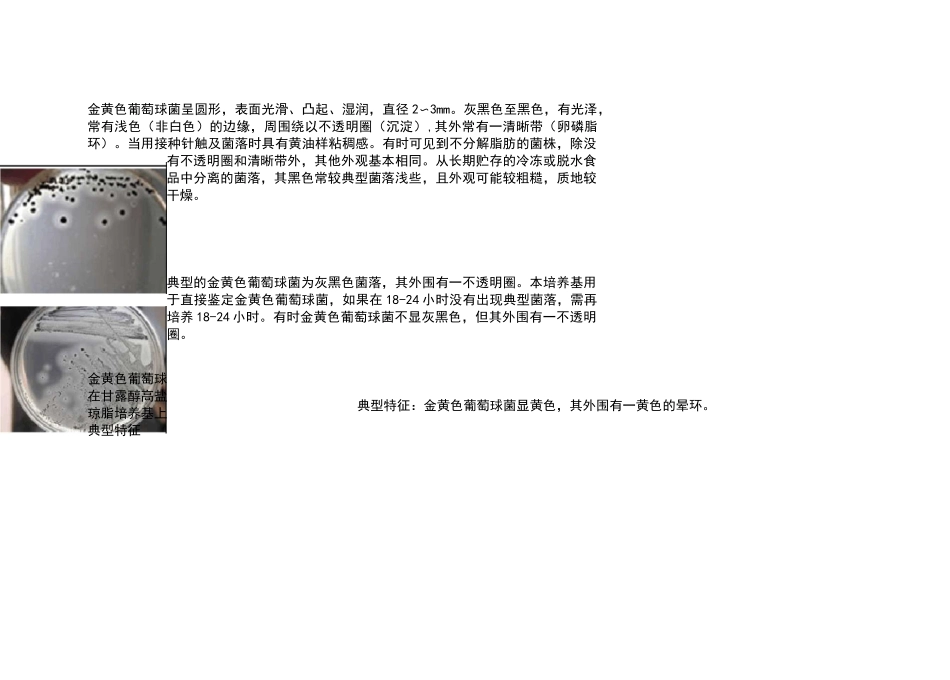 微生物菌落特征形态总结大全_第2页