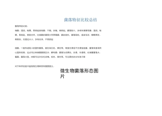 微生物菌落特征形态总结大全