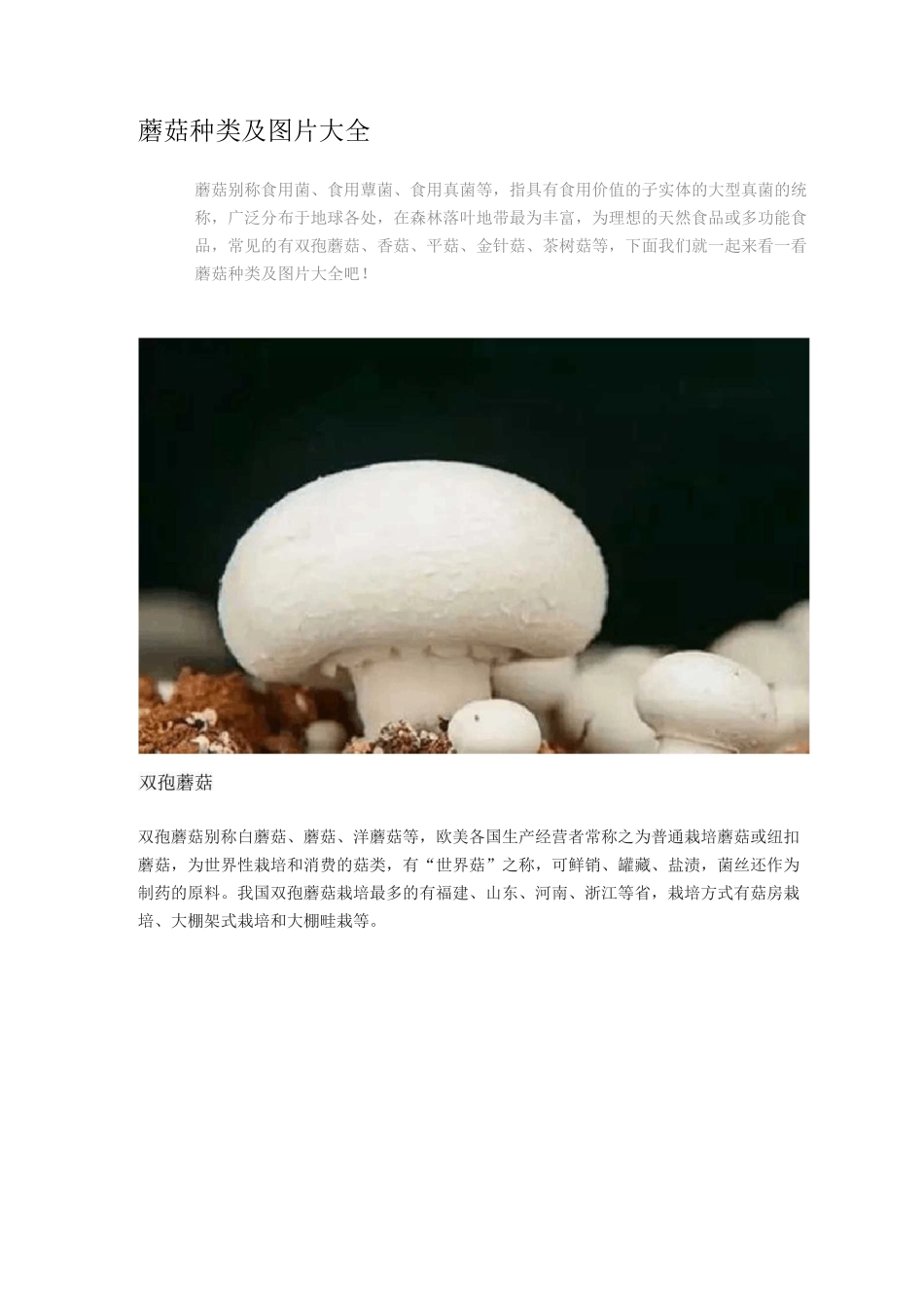 蘑菇种类及图片大全_第1页
